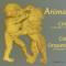 ANIMAÇÕES MUSICAIS - CANTO FIRME DE TOMAR  - Concertos Coral e Orquestra de Guitarras